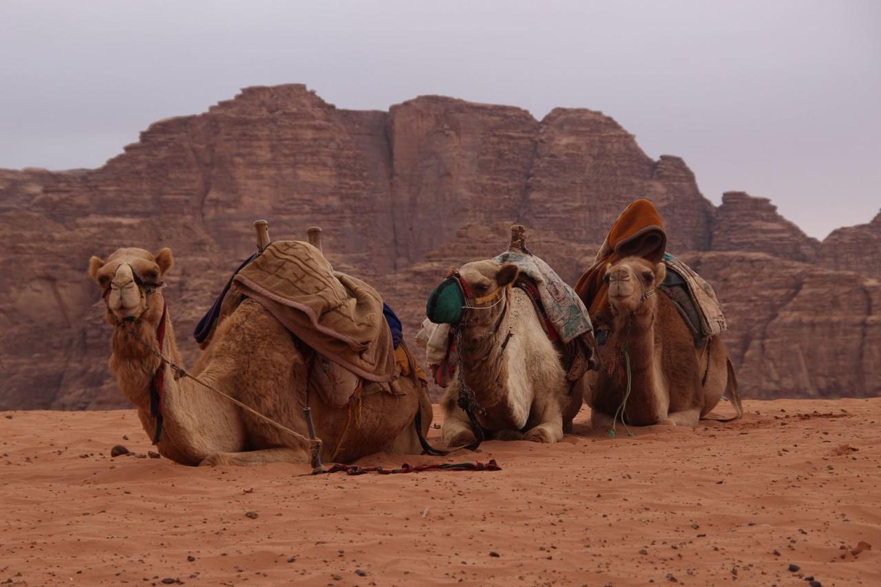 Wadi Rum Desert Secret Camp Bagian luar foto