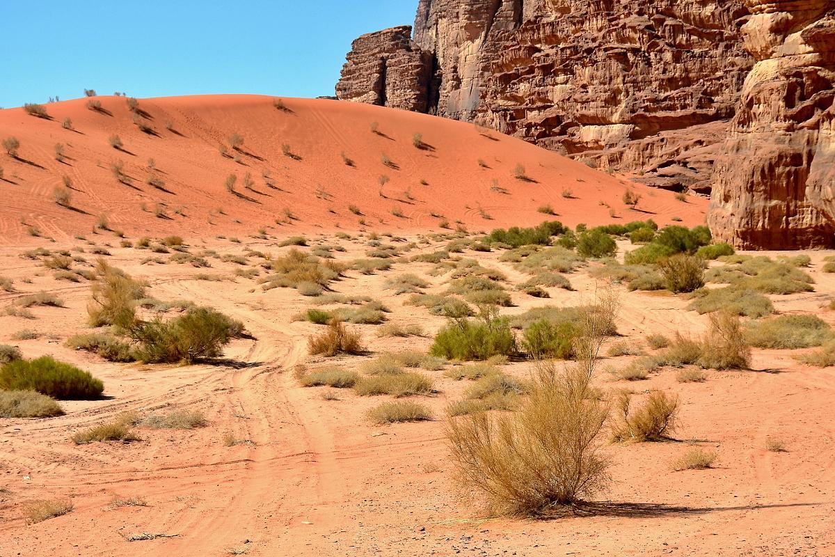 Wadi Rum Desert Secret Camp Bagian luar foto