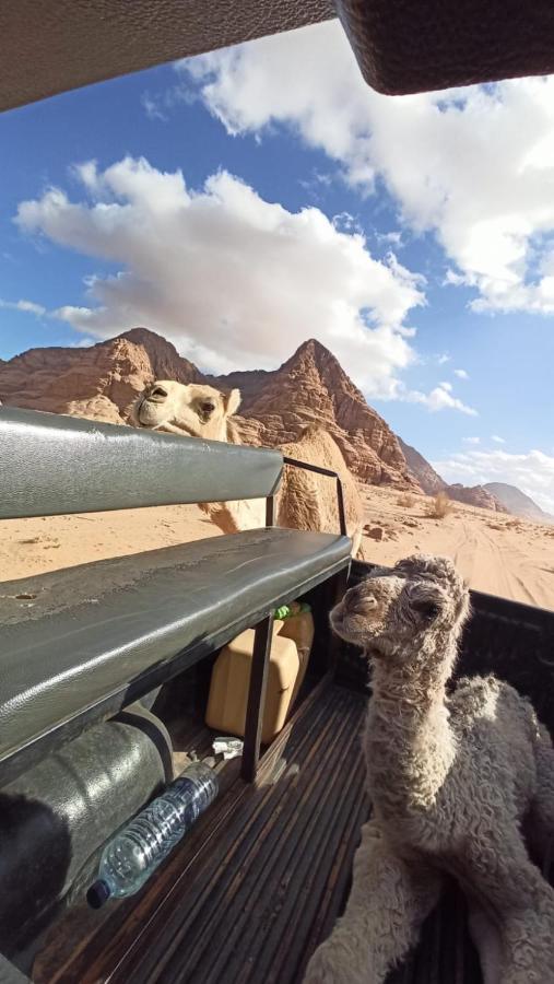Wadi Rum Desert Secret Camp Bagian luar foto